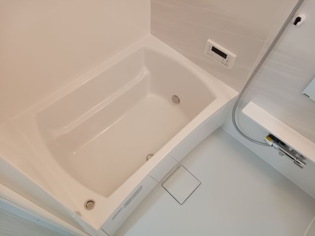 バス