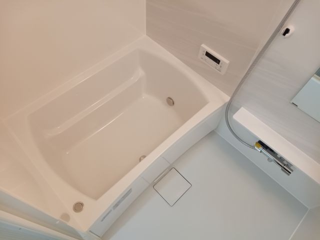 バス