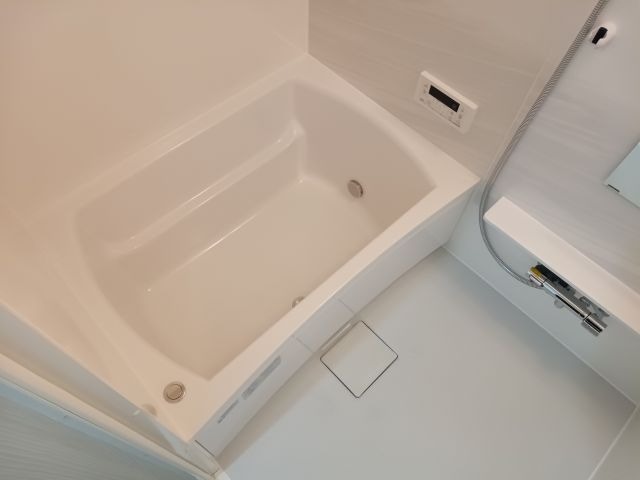 バス