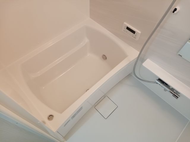 バス