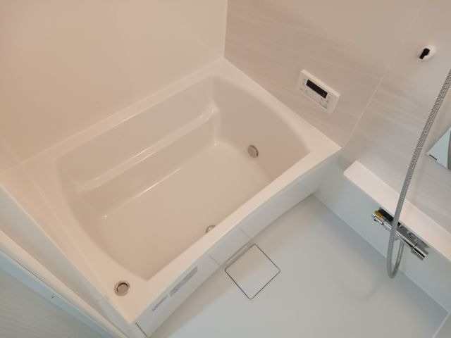 バス
