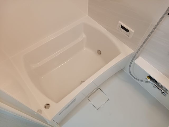 バス