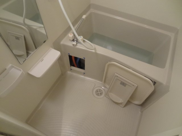 バス