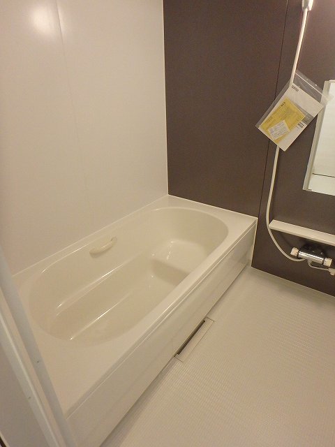 バス