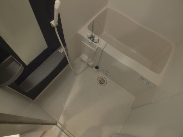 バス
