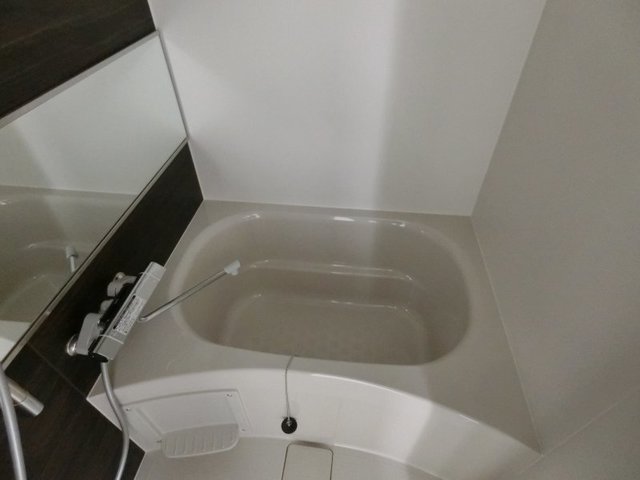 バス