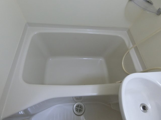バス