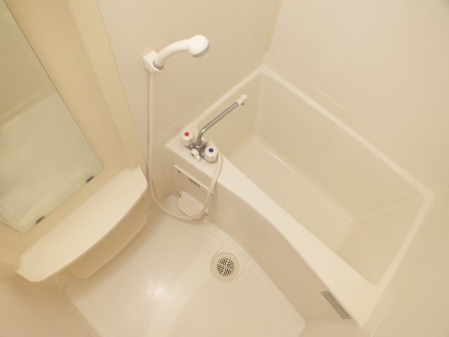 バス