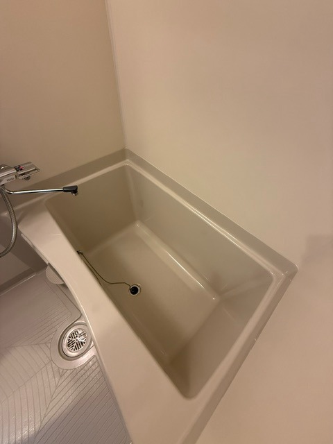 バス