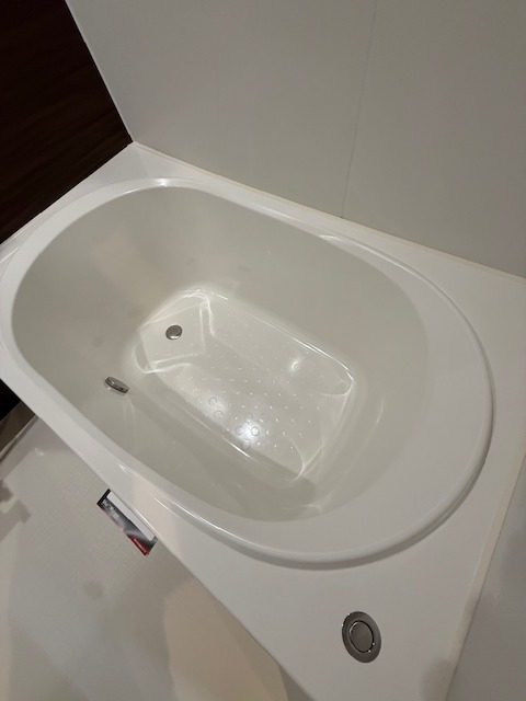 バス
