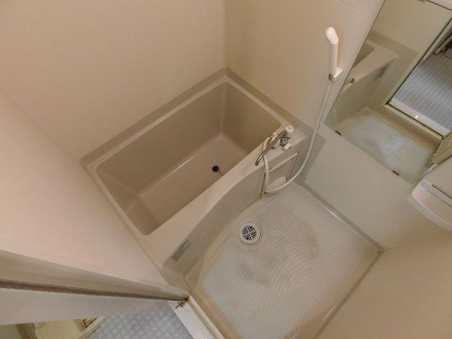 バス