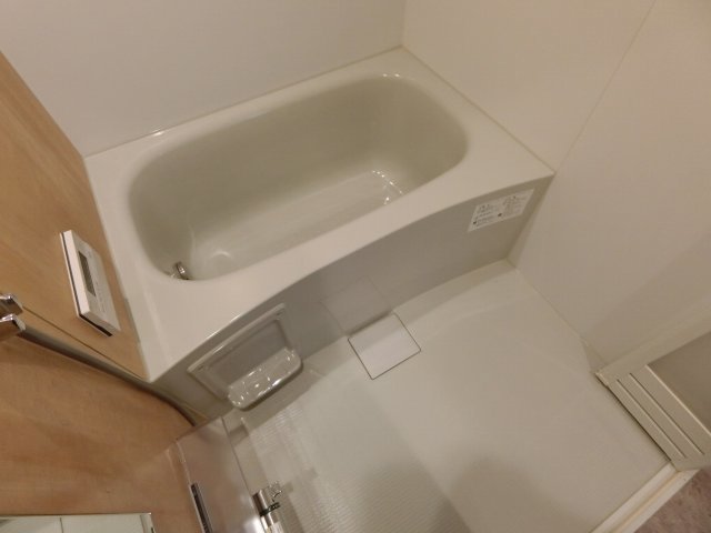 バス