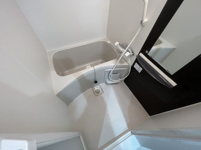 バス