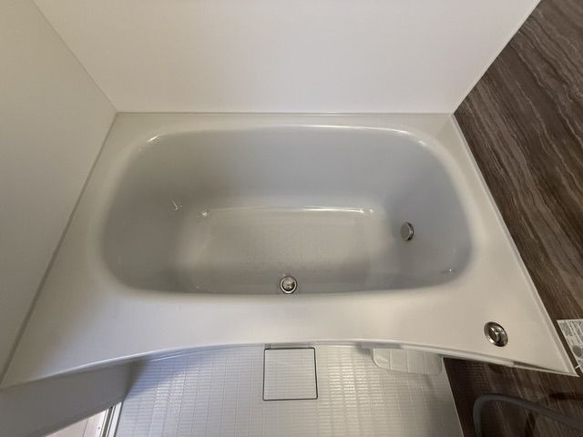 バス