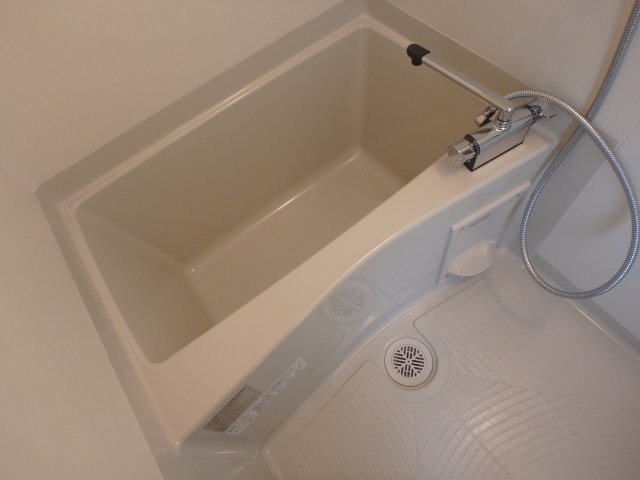 バス