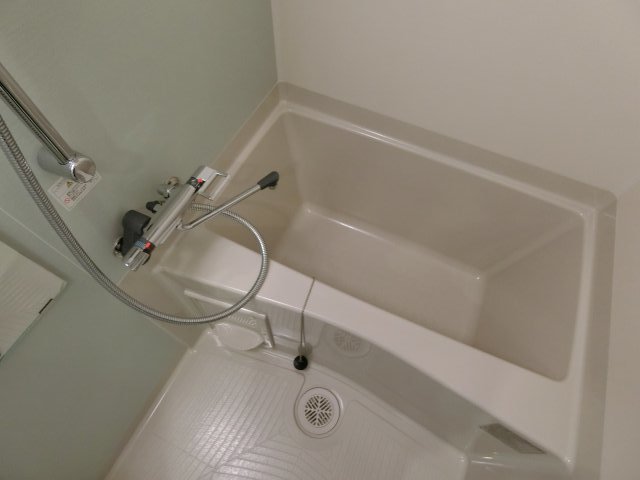 バス