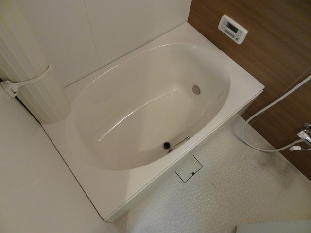 バス