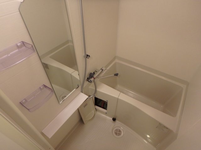 バス