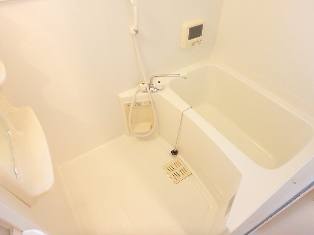 バス