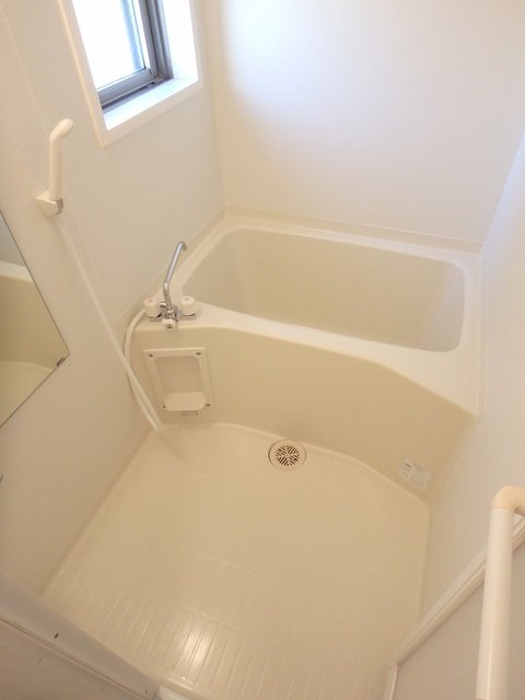 バス