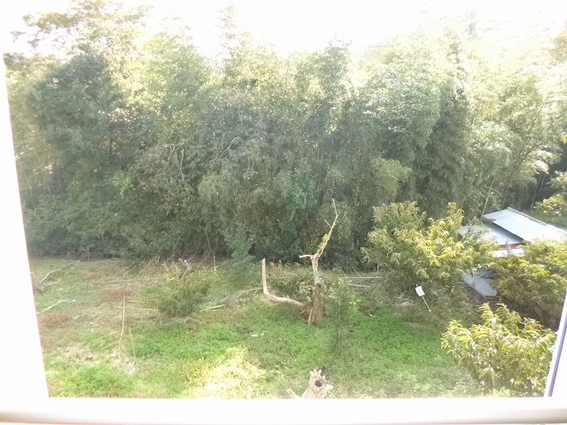 緑が多く住み心地良いです♪