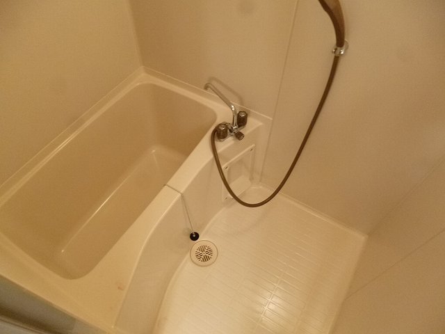 バス