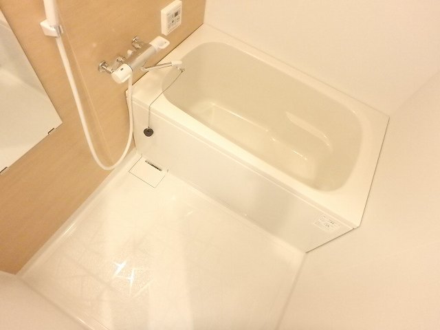 バス