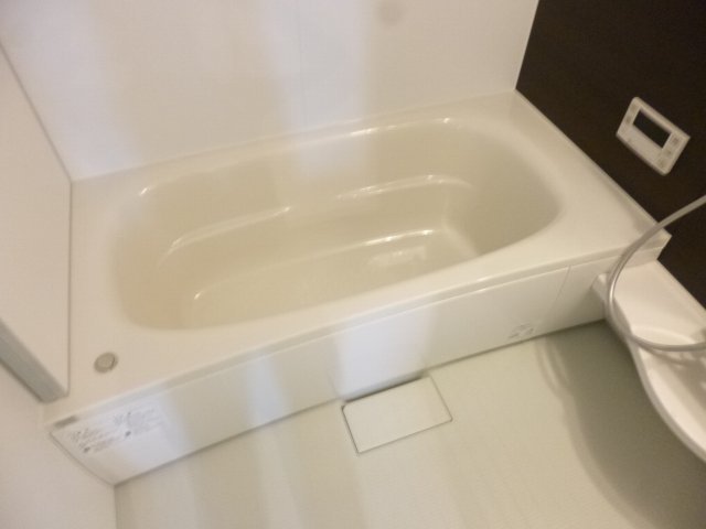 バス