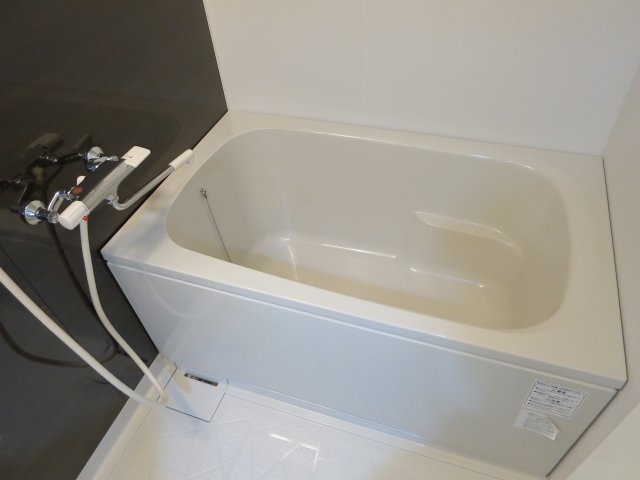 バス