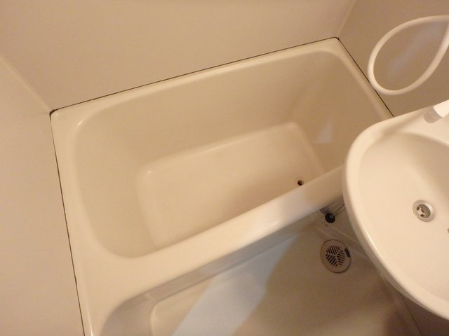 バス