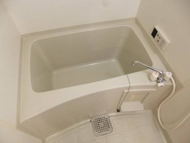 バス