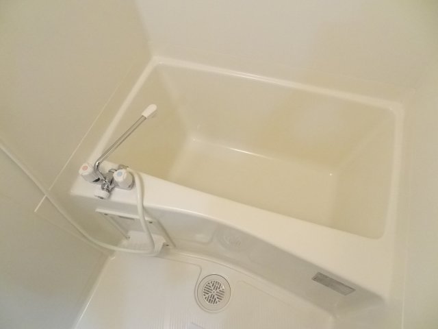 バス
