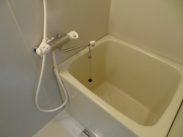 バス