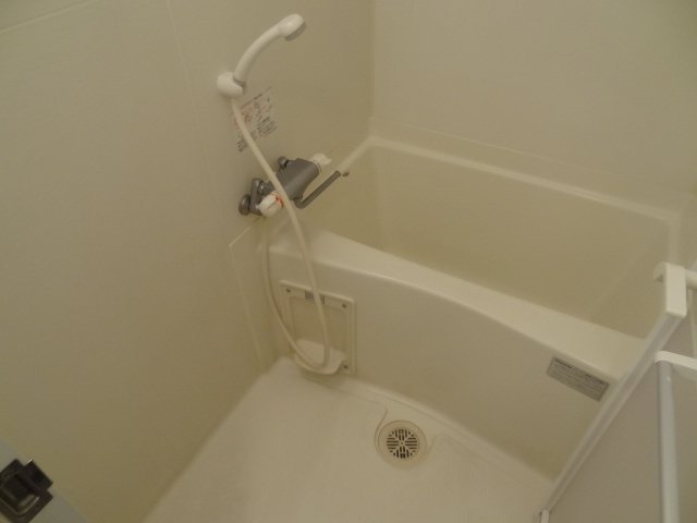 バス