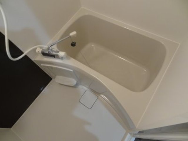 バス