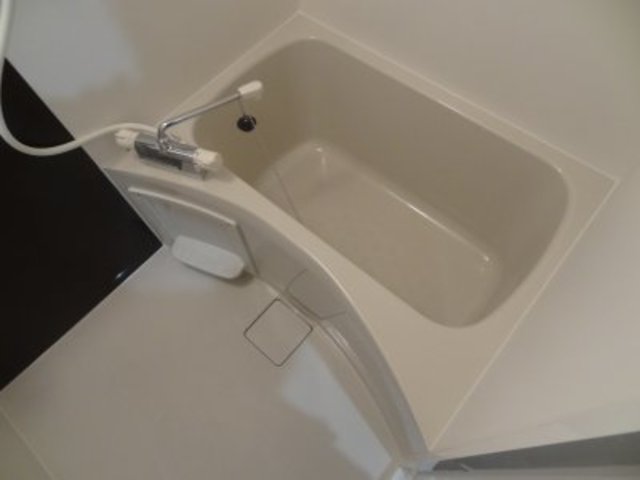 バス