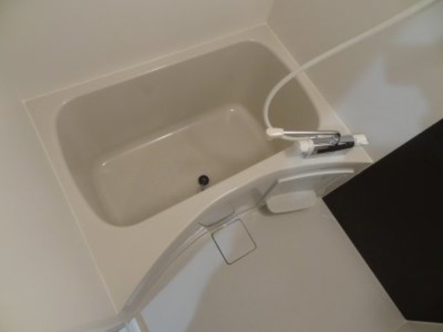 バス