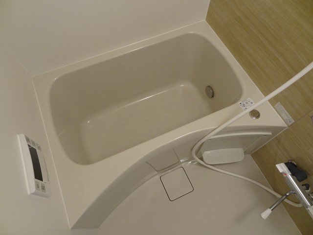 バス