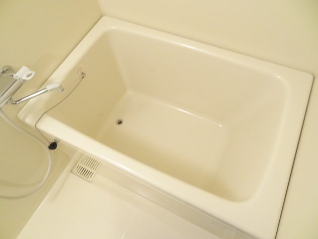 バス