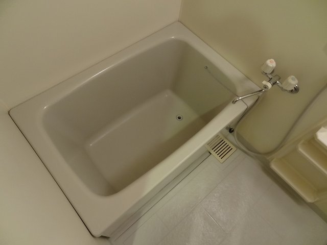 バス