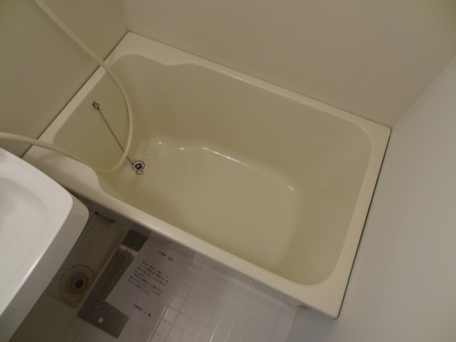 バス