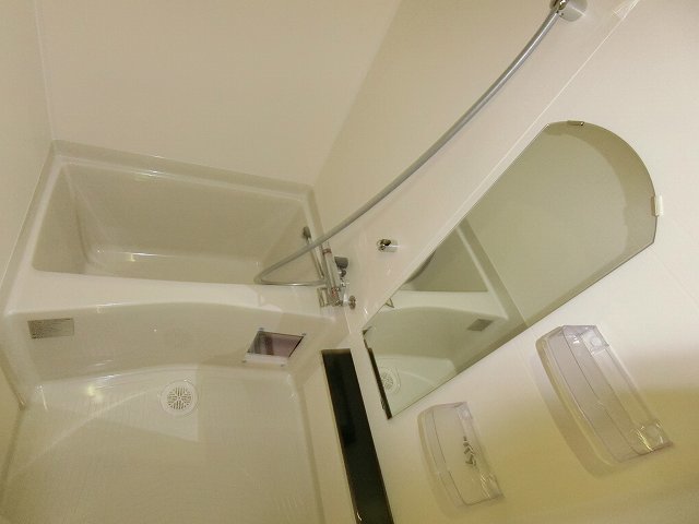 バス