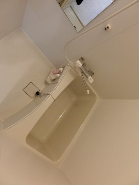 バス