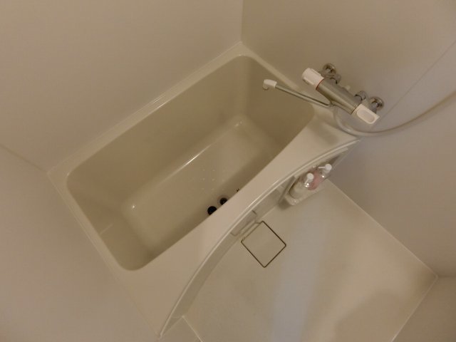 バス