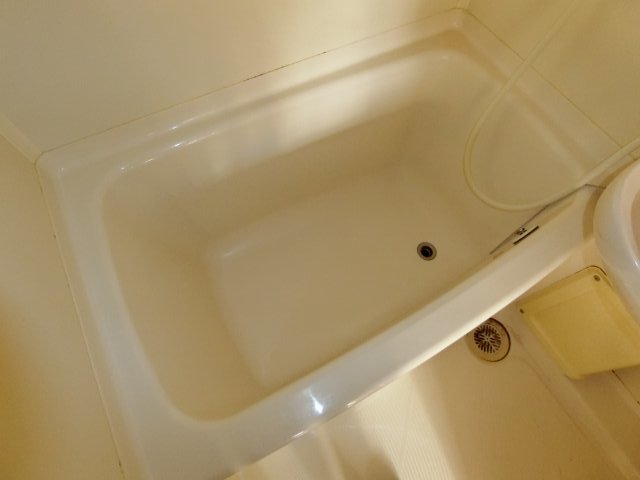 バス