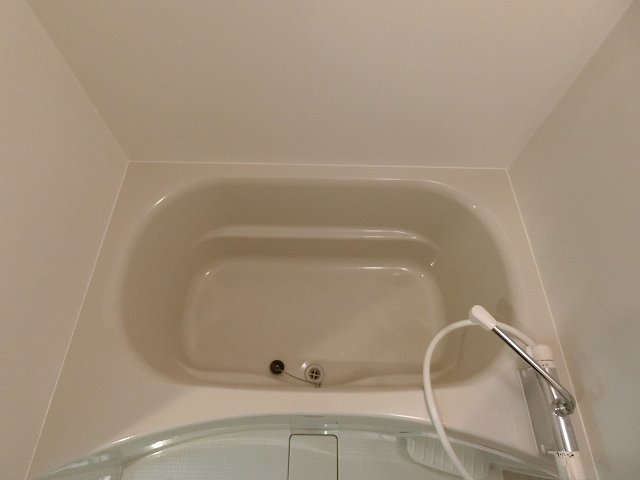 バス
