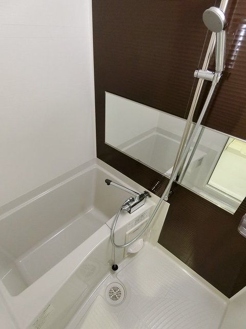 バス