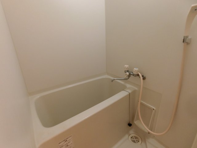 バス