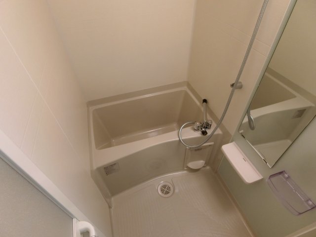 バス
