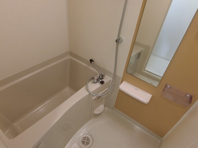 バス